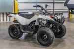 2024 Yamaha Grizzly 90