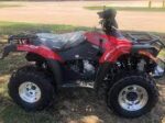 X300 Quad Bike