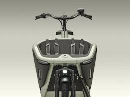 Urban Arrow FamilyNext Pro