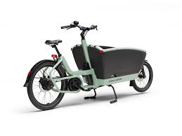 Buy Urban Arrow FamilyNext Pro