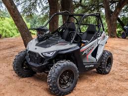 polaris rzr 200